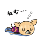 日常で使えるチワワさん（個別スタンプ：40）