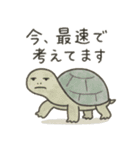 たんたんどうぶつ（個別スタンプ：4）