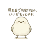たんたんどうぶつ（個別スタンプ：10）