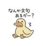 たんたんどうぶつ（個別スタンプ：11）