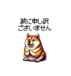 敬語で丁寧 大人ふとっちょ柴犬（個別スタンプ：3）