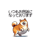 敬語で丁寧 大人ふとっちょ柴犬（個別スタンプ：5）