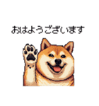 敬語で丁寧 大人ふとっちょ柴犬（個別スタンプ：6）