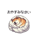 敬語で丁寧 大人ふとっちょ柴犬（個別スタンプ：7）