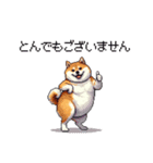 敬語で丁寧 大人ふとっちょ柴犬（個別スタンプ：8）