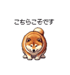 敬語で丁寧 大人ふとっちょ柴犬（個別スタンプ：9）