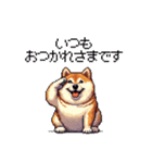敬語で丁寧 大人ふとっちょ柴犬（個別スタンプ：10）