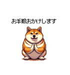 敬語で丁寧 大人ふとっちょ柴犬（個別スタンプ：12）