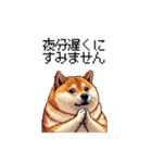 敬語で丁寧 大人ふとっちょ柴犬（個別スタンプ：14）
