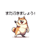 敬語で丁寧 大人ふとっちょ柴犬（個別スタンプ：15）