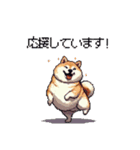 敬語で丁寧 大人ふとっちょ柴犬（個別スタンプ：18）
