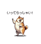敬語で丁寧 大人ふとっちょ柴犬（個別スタンプ：22）