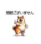 敬語で丁寧 大人ふとっちょ柴犬（個別スタンプ：24）