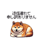 敬語で丁寧 大人ふとっちょ柴犬（個別スタンプ：25）