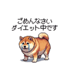 敬語で丁寧 大人ふとっちょ柴犬（個別スタンプ：27）