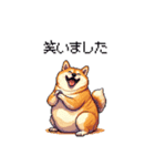 敬語で丁寧 大人ふとっちょ柴犬（個別スタンプ：28）