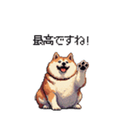 敬語で丁寧 大人ふとっちょ柴犬（個別スタンプ：31）