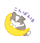 礼儀正しいボーダーコリー（個別スタンプ：3）