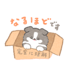 礼儀正しいボーダーコリー（個別スタンプ：8）