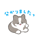 礼儀正しいボーダーコリー（個別スタンプ：10）