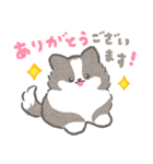 礼儀正しいボーダーコリー（個別スタンプ：11）