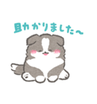 礼儀正しいボーダーコリー（個別スタンプ：12）