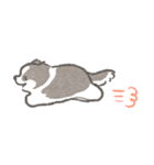 礼儀正しいボーダーコリー（個別スタンプ：13）