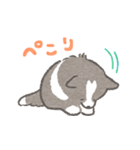 礼儀正しいボーダーコリー（個別スタンプ：16）