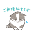礼儀正しいボーダーコリー（個別スタンプ：22）