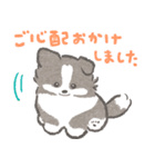 礼儀正しいボーダーコリー（個別スタンプ：23）