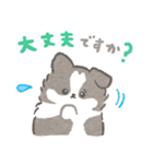 礼儀正しいボーダーコリー（個別スタンプ：25）
