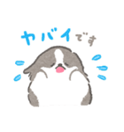 礼儀正しいボーダーコリー（個別スタンプ：26）