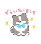 礼儀正しいボーダーコリー（個別スタンプ：30）