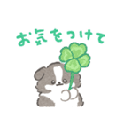 礼儀正しいボーダーコリー（個別スタンプ：36）