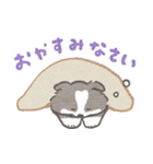 礼儀正しいボーダーコリー（個別スタンプ：37）