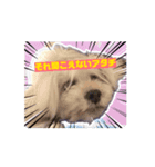 ひなとにゃにゃとウニとキョナン（個別スタンプ：6）