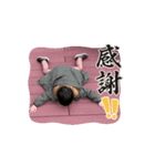らいりーすたんぷ（個別スタンプ：8）