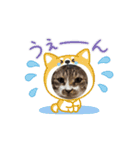 ペット達でっす！♡（個別スタンプ：4）
