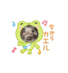 ペット達でっす！♡（個別スタンプ：6）