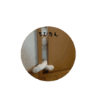 ちびたん_たかおなみ（個別スタンプ：3）