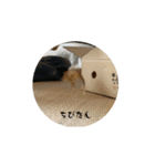 ちびたん_たかおなみ（個別スタンプ：7）