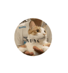 ちびたん_たかおなみ（個別スタンプ：14）