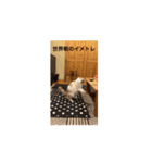 モカちゃんの（個別スタンプ：15）