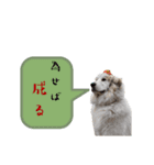 ラム参（個別スタンプ：2）