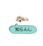 ラム参（個別スタンプ：3）