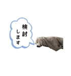ラム参（個別スタンプ：4）