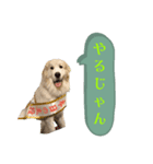 ラム参（個別スタンプ：7）