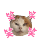 どぅも。ロシ子です。（個別スタンプ：37）