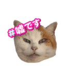 どぅも。ロシ子です。（個別スタンプ：39）