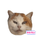 どぅも。ロシ子です。（個別スタンプ：40）